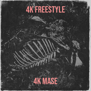 4k Freestyle