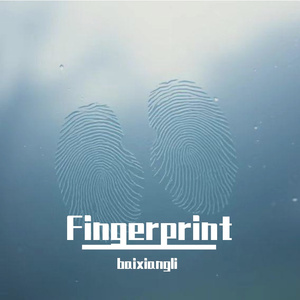 fingerprint