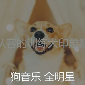 一尘不染小狗印象数