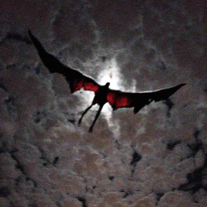 Ночь (Фристайл)