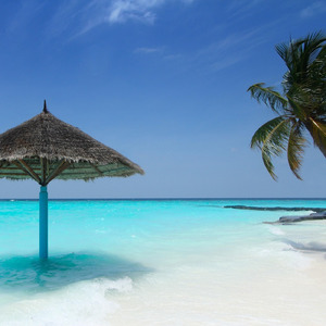 アフタヌーン・ブリーズ