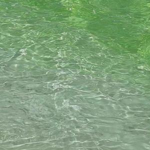 我们好好的（Live）