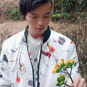 情哥爱情妹（陶有才版本）