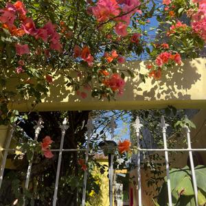 feelin' alive (feat. Wave Meow)