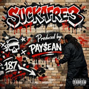 CONTRADICTING (feat. Mari the 5th)