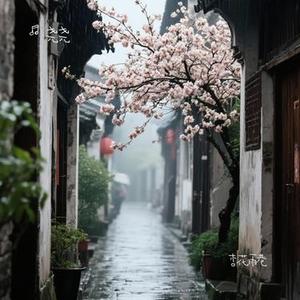 杏花雨巷