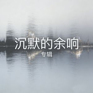 沉默的余响-阿岱