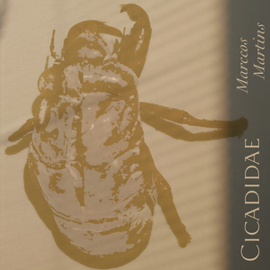 Cicadidae