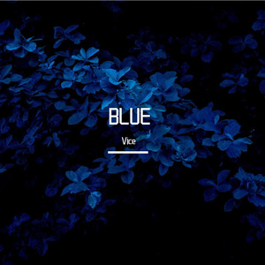 bear bear & friends-This is the end（Vice remix）