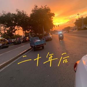 二十年后