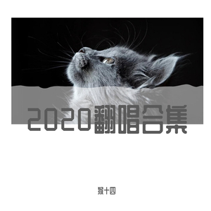 齐天