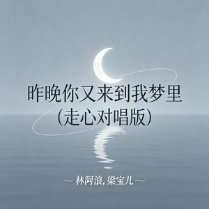 昨晚你又来到我梦里(走心对唱版)