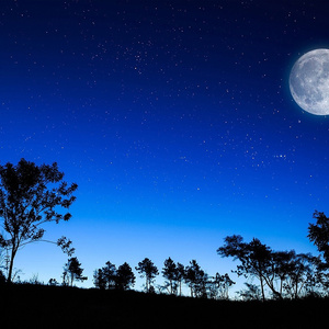 心月 (Instrumental)