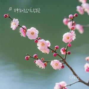 在梅边 (Cover 王力宏)