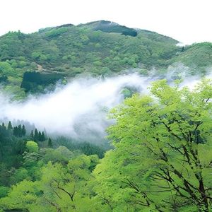 青山