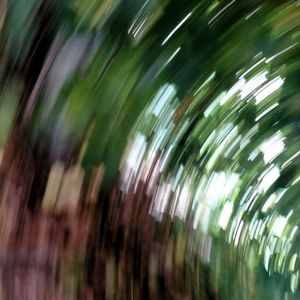 叁拾玖亿分之壹的你（prod.youngANB）