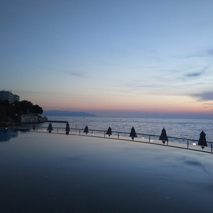 Sunny Day, Butterflies In The Garden