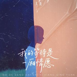 我的等待是一厢情愿 (伴奏)