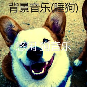 快乐-狗