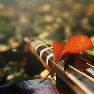 雨中回忆 (钢琴小提琴曲)