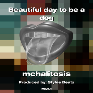 Beautiful day to be a dog