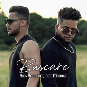 Buscaré