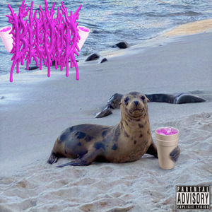 i <3 seals