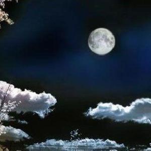 卑微的承诺（翻自 乔洋）