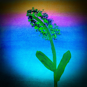 초록이삭