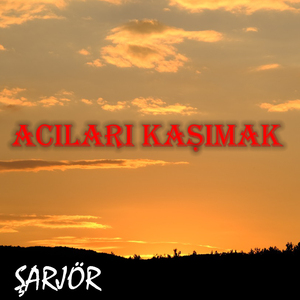 Acıları Kaşımak
