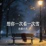 想你一次看一次雪