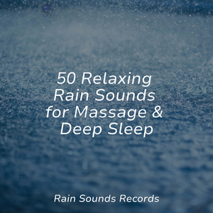 Dancing Petals Under Grey Skies