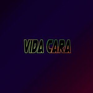 Vida Cara