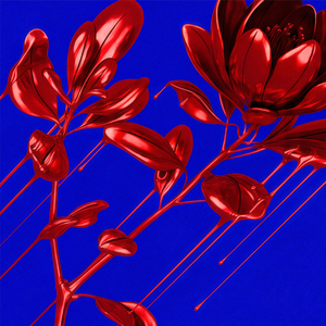 Базовый сон м-ра Ойзо