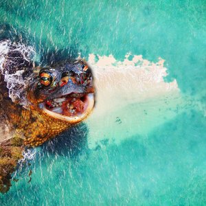 Naukacuvu & Nadroga-Navosa