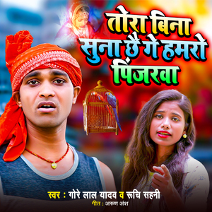 Tora Bina Suna Chhe Ge Hamro Pinjarva
