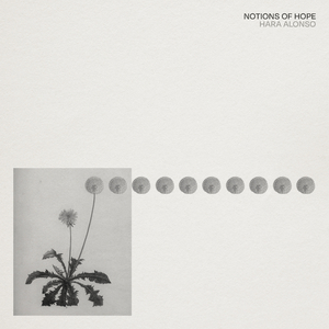 Notion 1