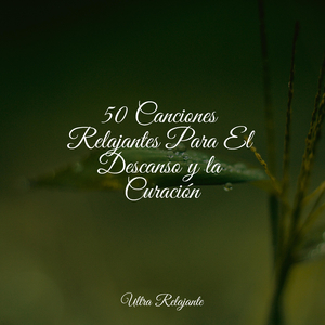 Caminando En Un Lugar Calmado