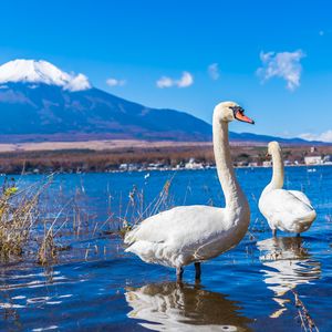 校服下的心动 伴奏