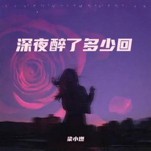 深夜醉了多少回（流了多少泪）