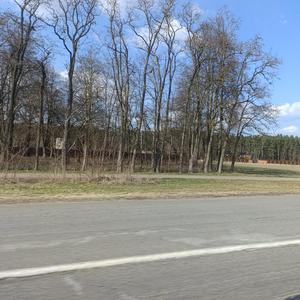 Старые раны