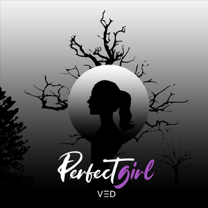 Perfect Girl