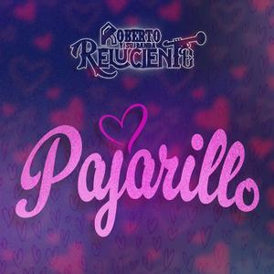 Pajarillo