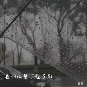 我的心的下起了雨