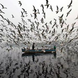 抵制毒品 远离毒害