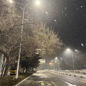 你与雪一样
