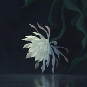 我让昙花开满回廊 降速版