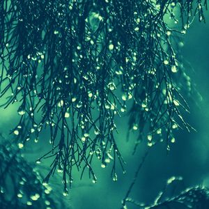 抚慰的学习回忆