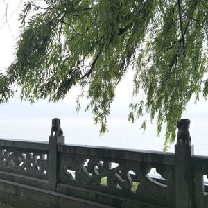 我们的时光