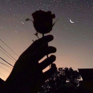 晚安，不止晚安